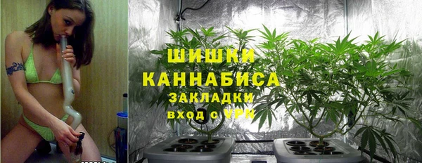 стафф Снежногорск