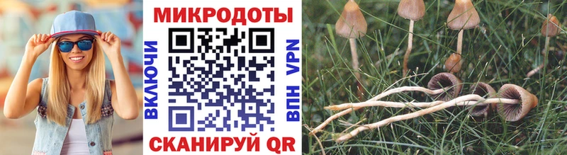 Псилоцибиновые грибы прущие грибы  купить  сайты  Красный Холм 